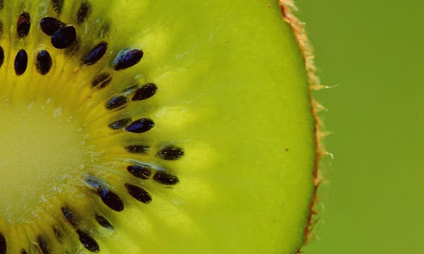 Propiedades del kiwi