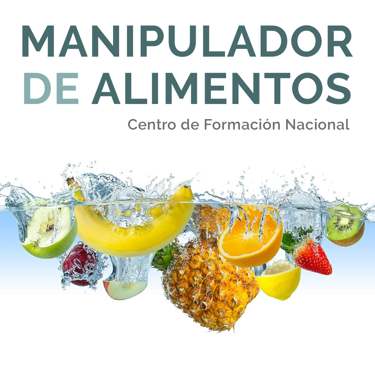 (c) Manipulador-de-alimentos.es